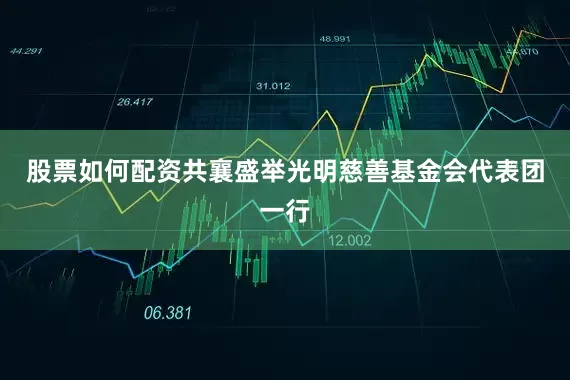 股票如何配资共襄盛举光明慈善基金会代表团一行